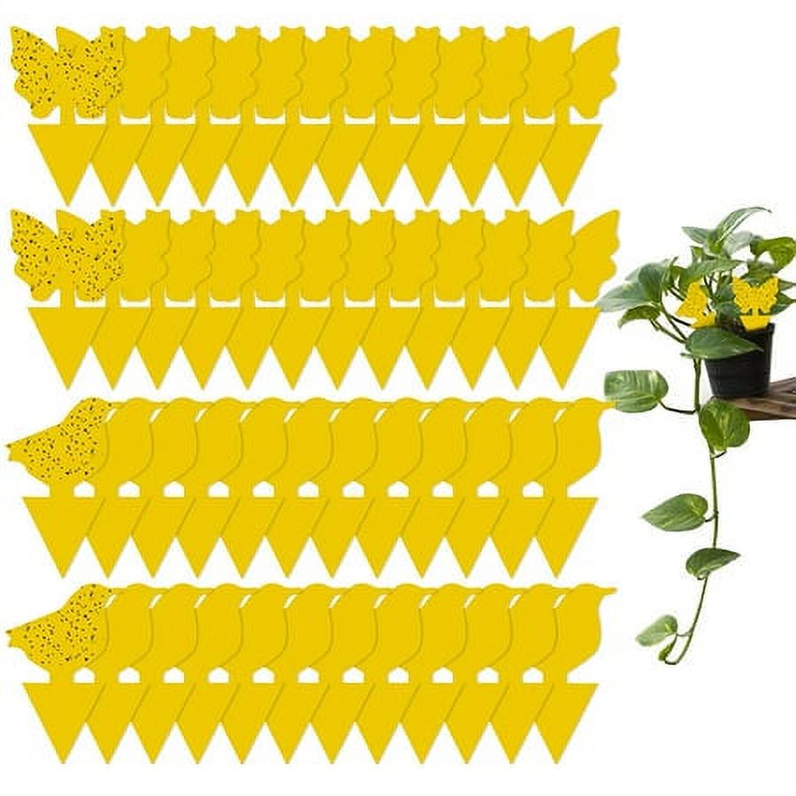 48 Pack Plant Sticky Trap Fungus Gnat Traps Killer for Indoor and Outdoor Bug, Fruit Fly Sticky Strips Protect Houseplant, Non-Toxic and Odorless